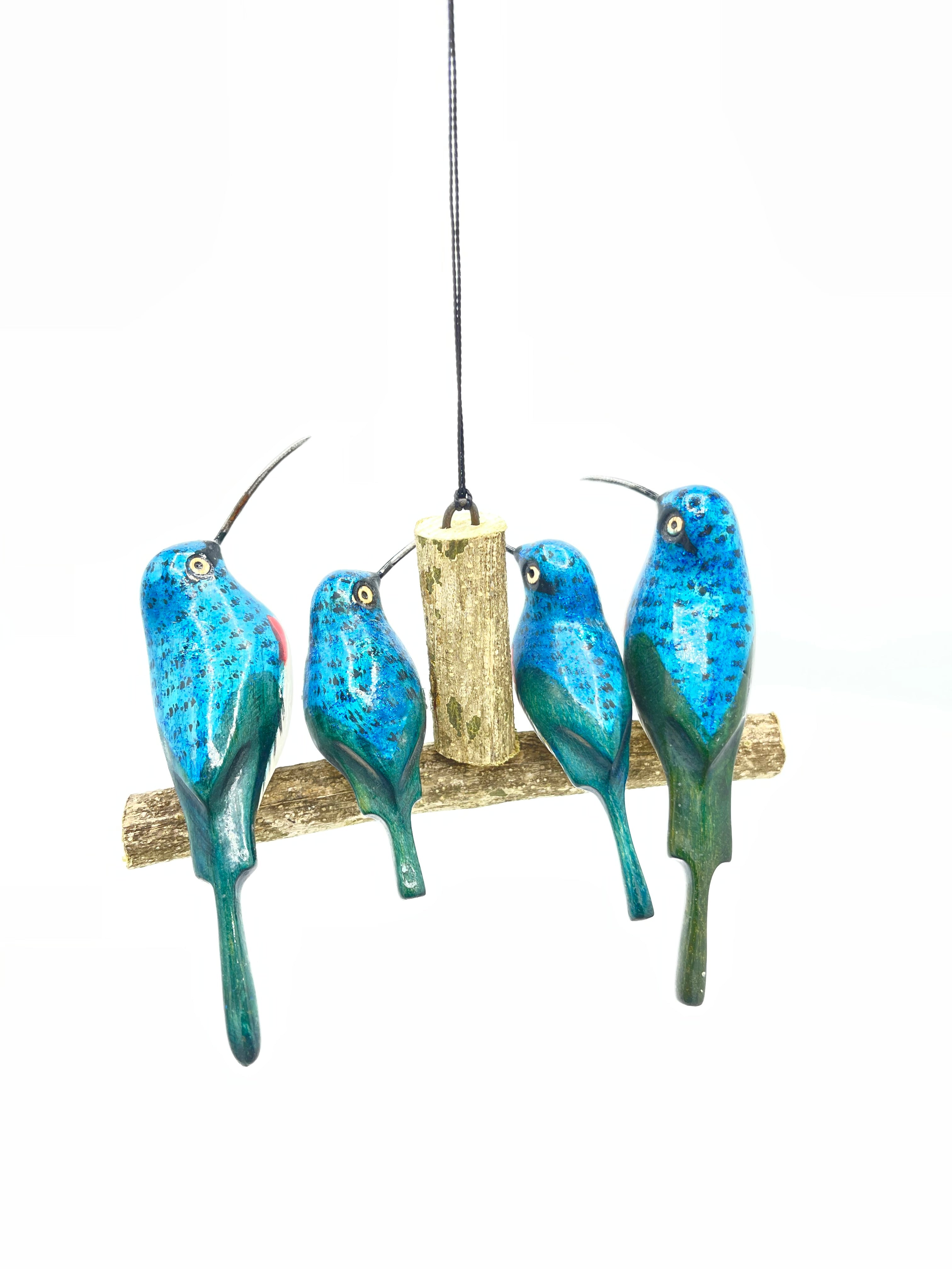 Vierköpfige Breitschnabelkolibri-Familie