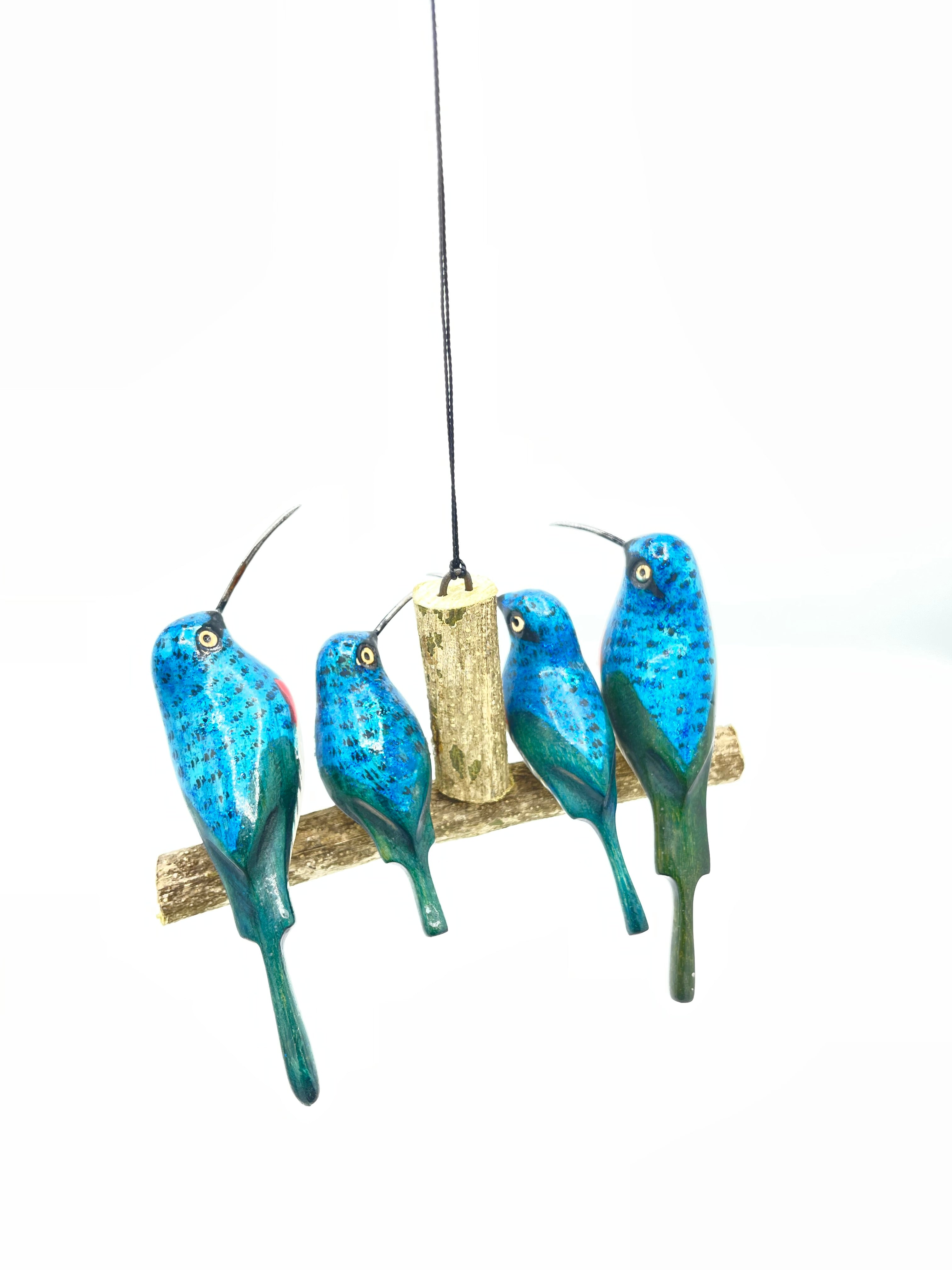 Vierköpfige Breitschnabelkolibri-Familie