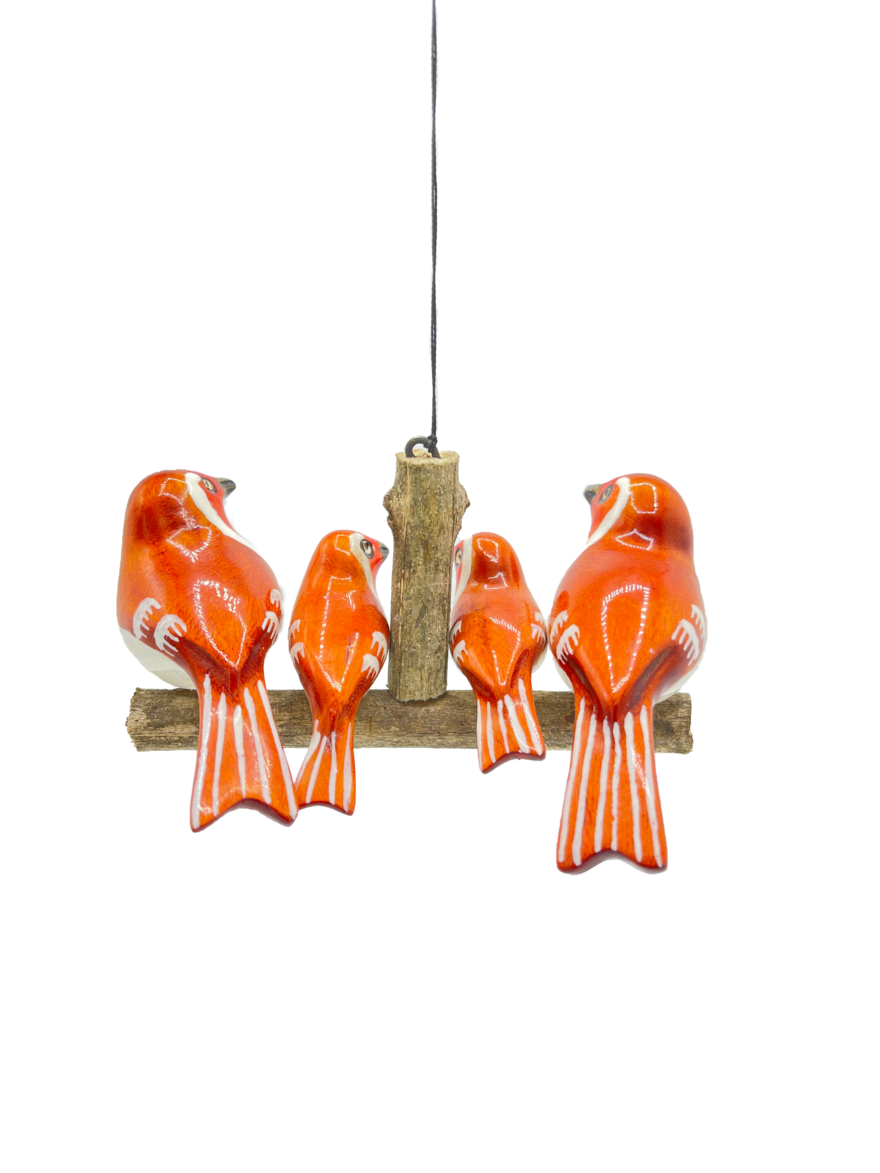 Robin-Familie, vierköpfig