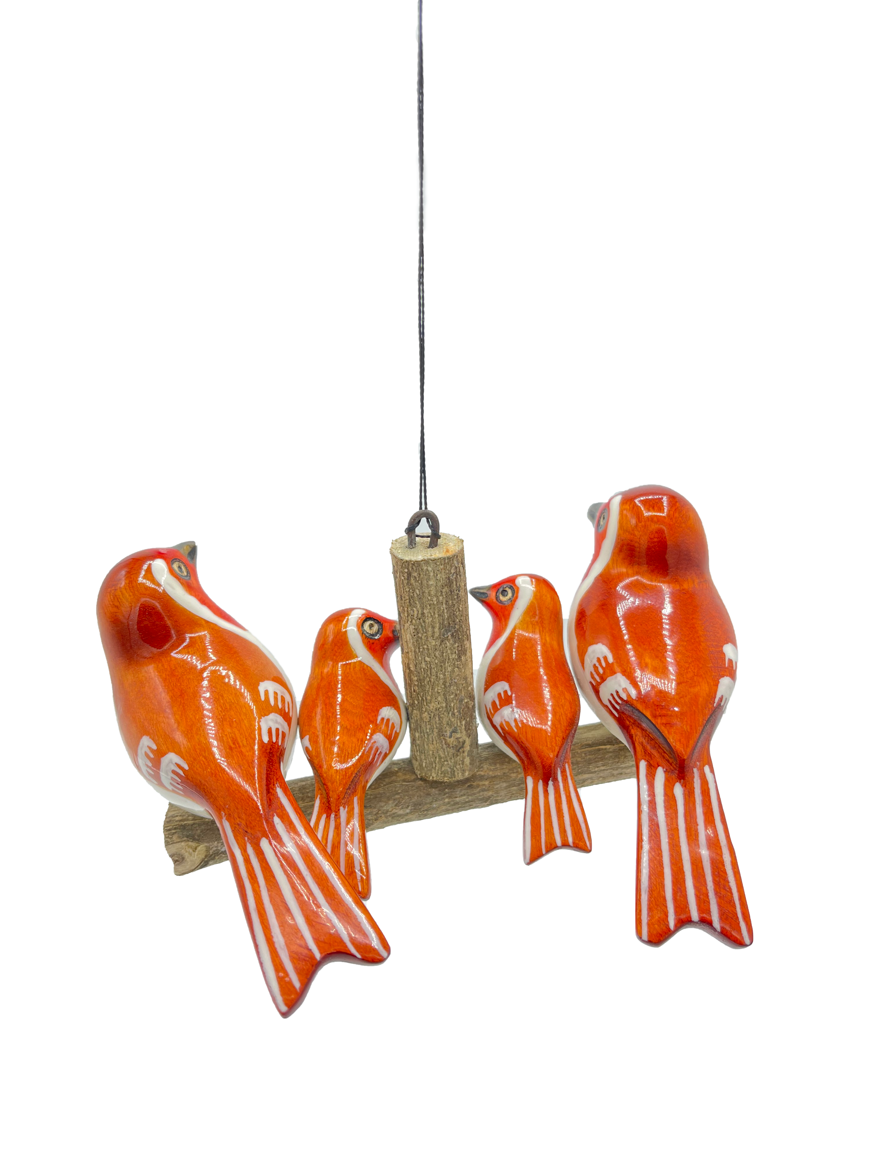 Robin family of four