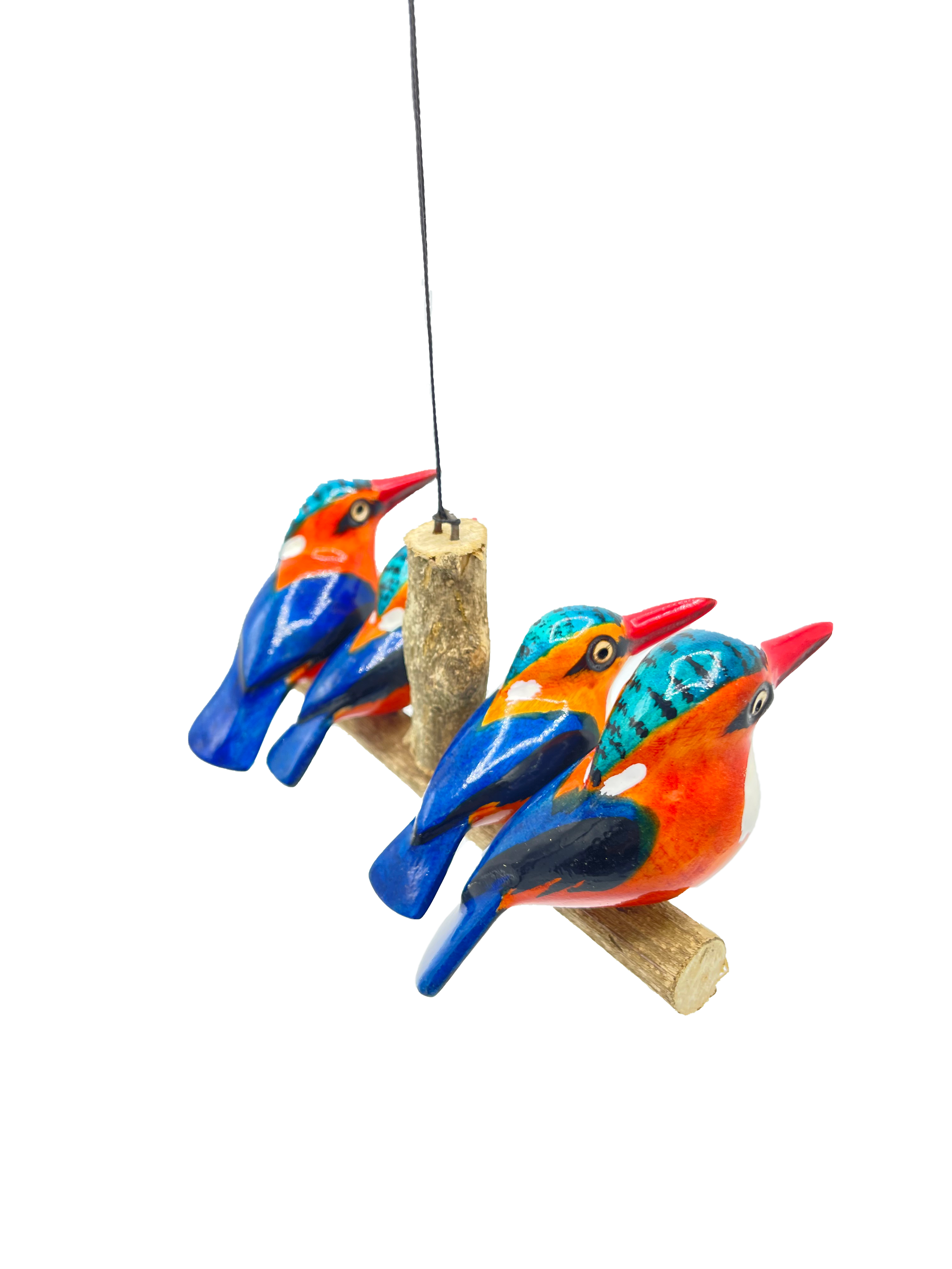 Vierköpfige Eisvogelfamilie