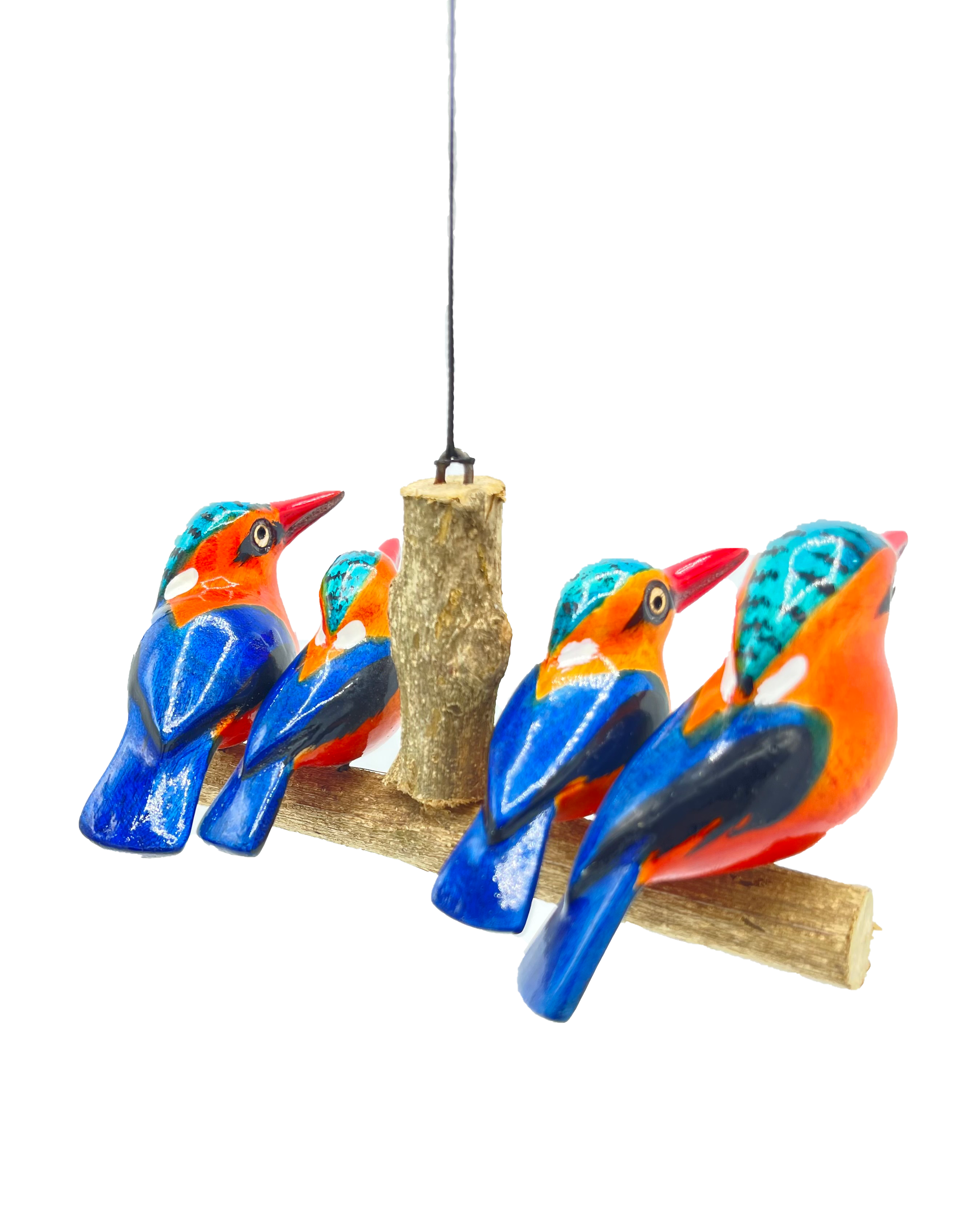 Vierköpfige Eisvogelfamilie