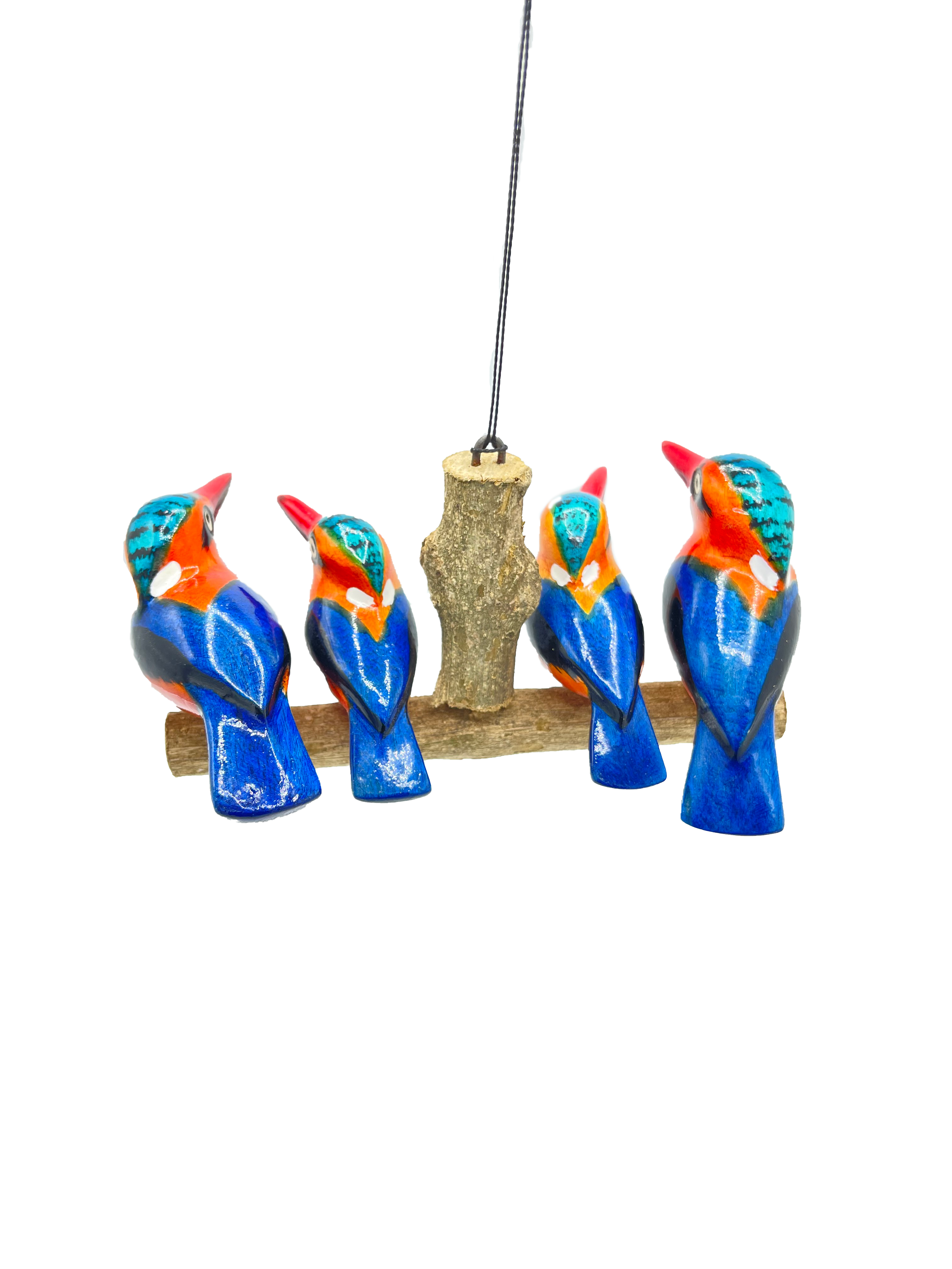 Vierköpfige Eisvogelfamilie