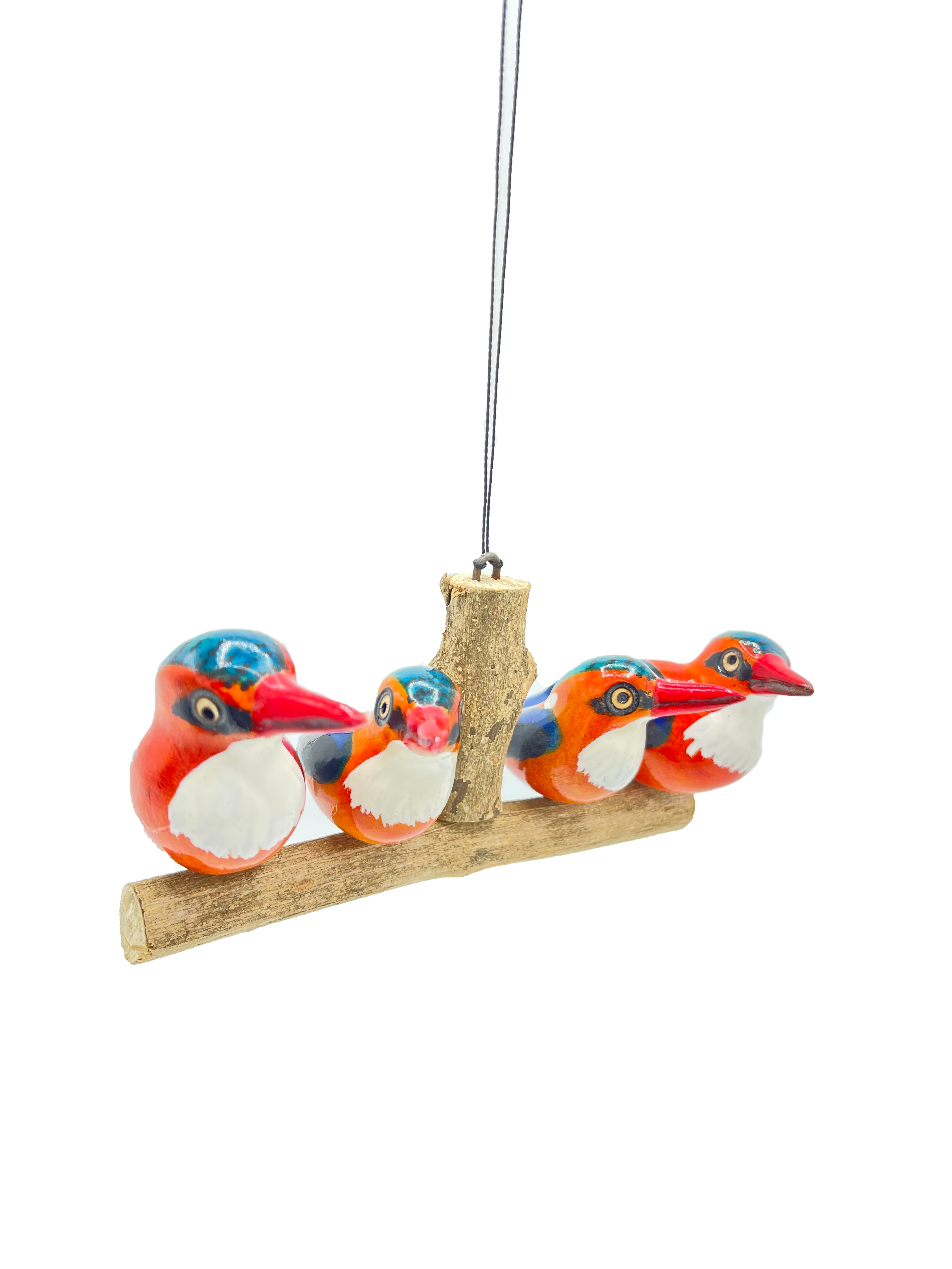 Vierköpfige Eisvogelfamilie