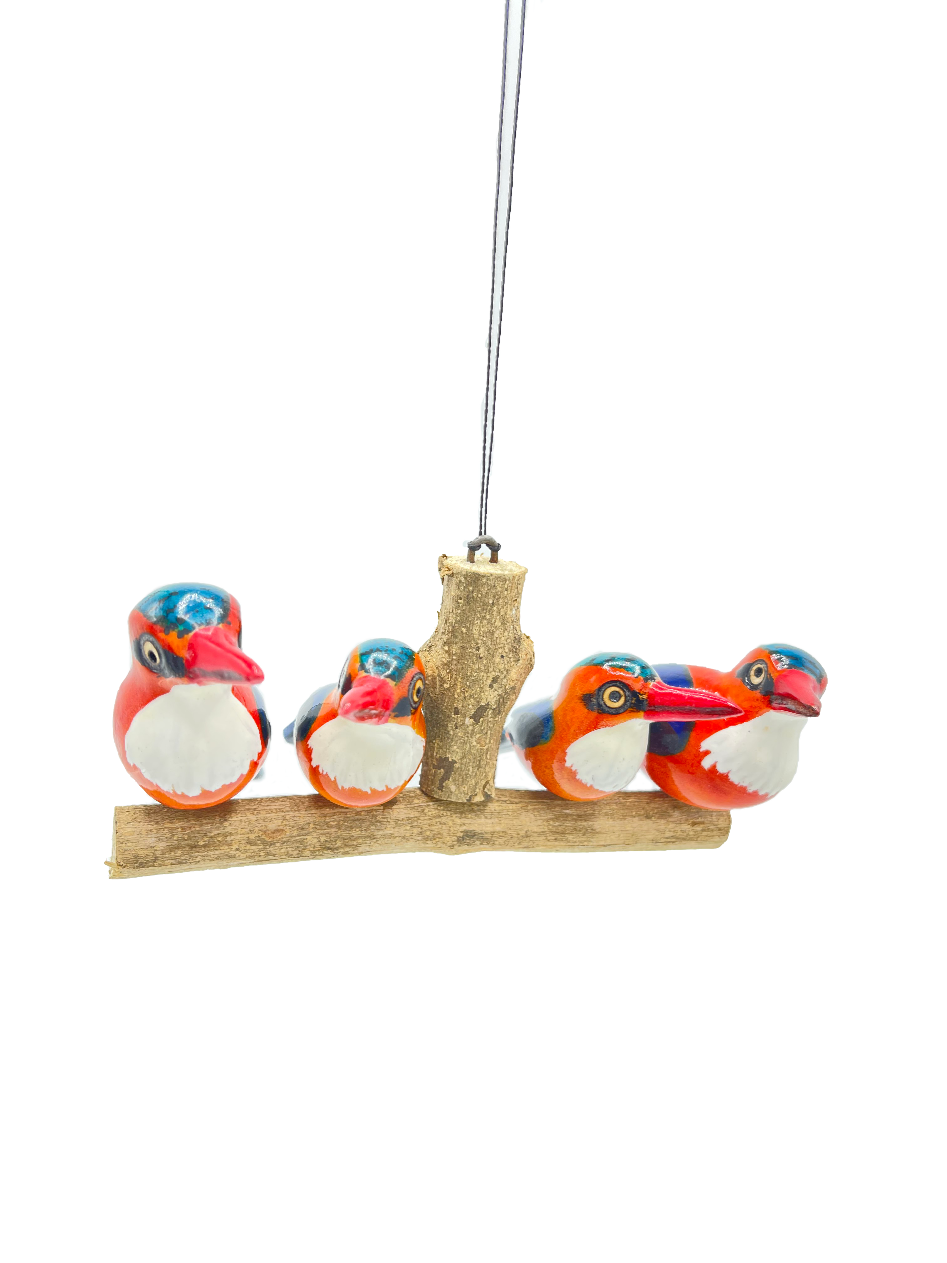 Vierköpfige Eisvogelfamilie