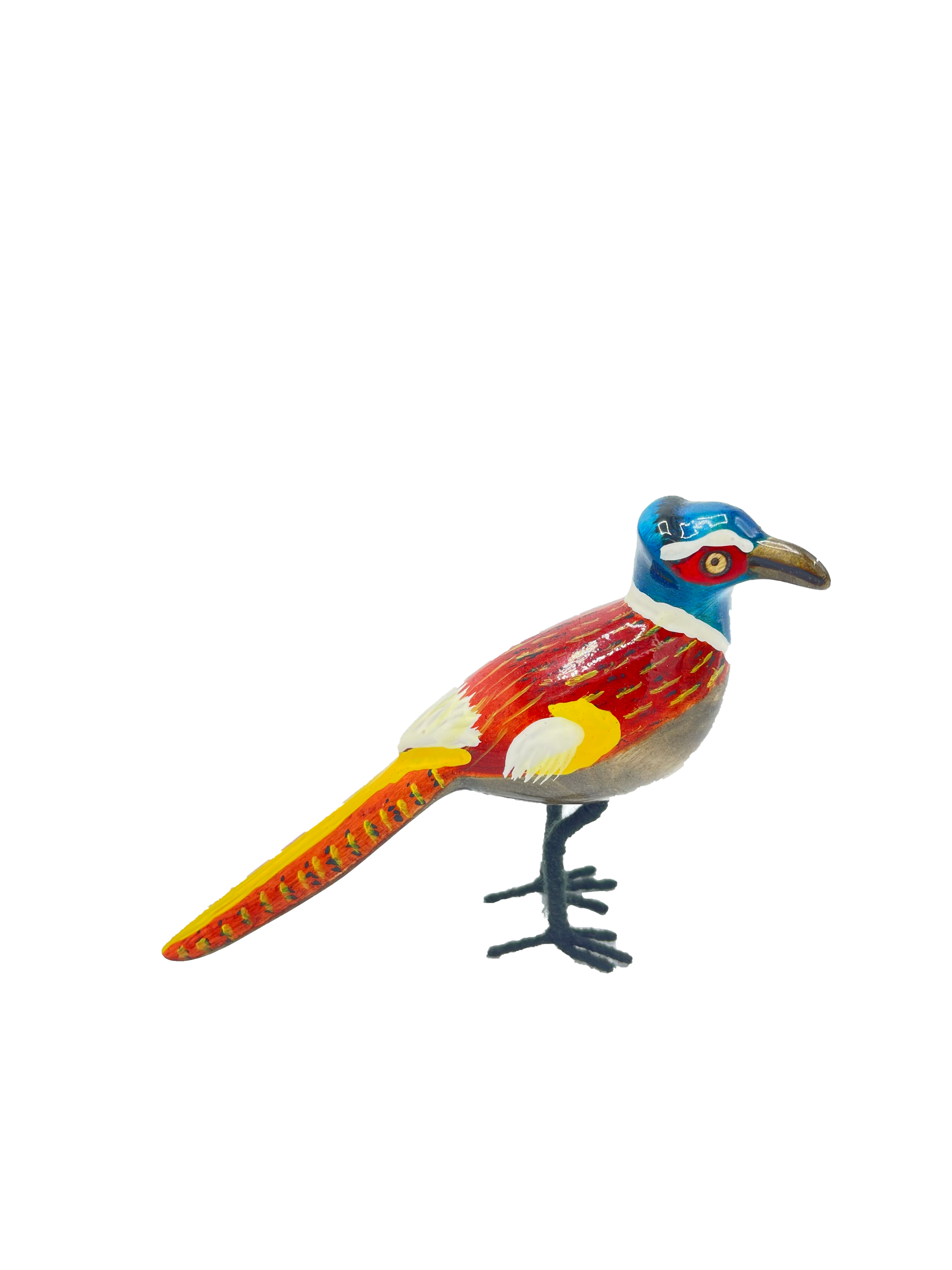 Ring-necked Pheasant