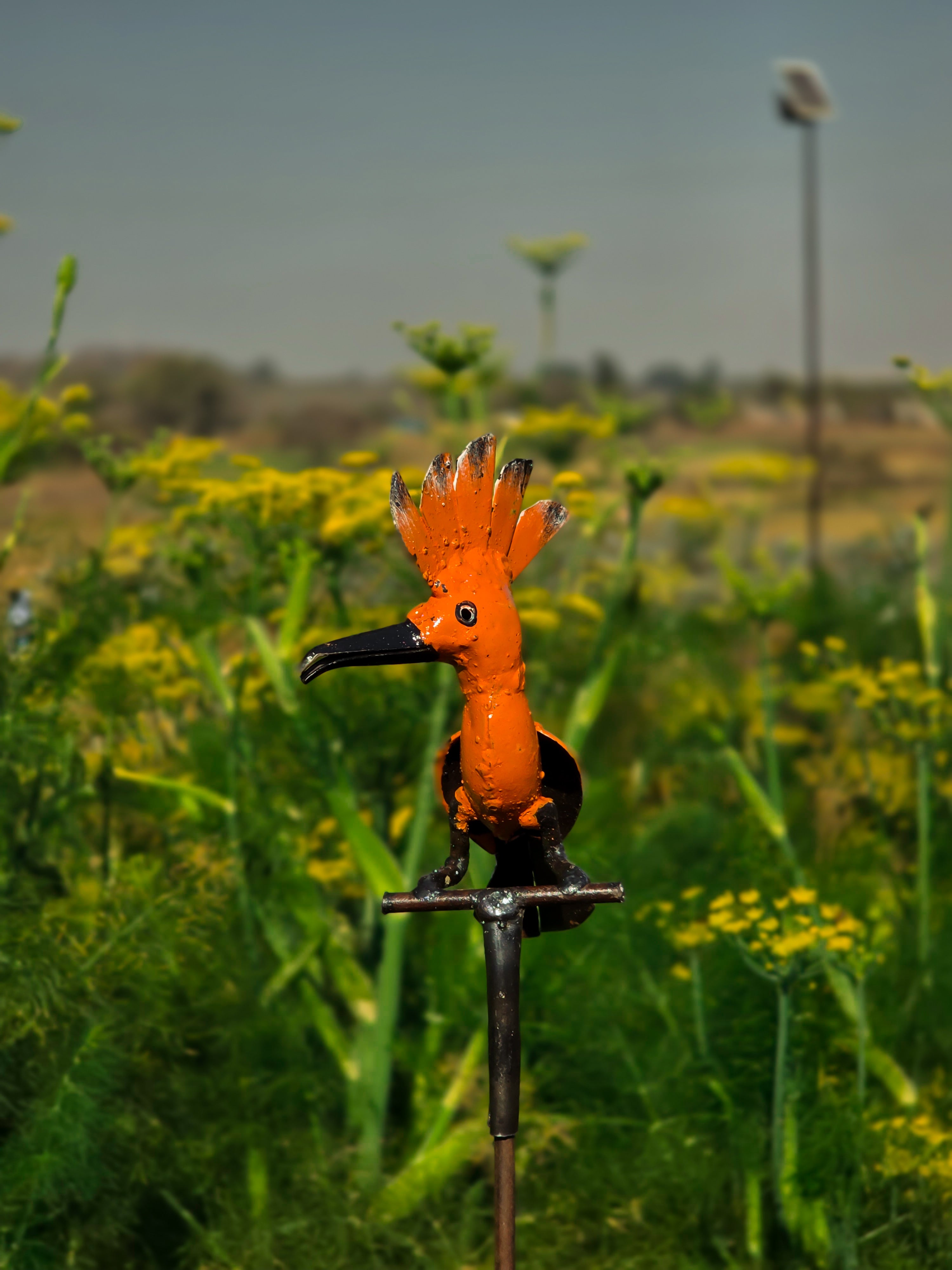 Handmade African hoopoe bird on rod sculpture in outdoor field setting, unique garden art