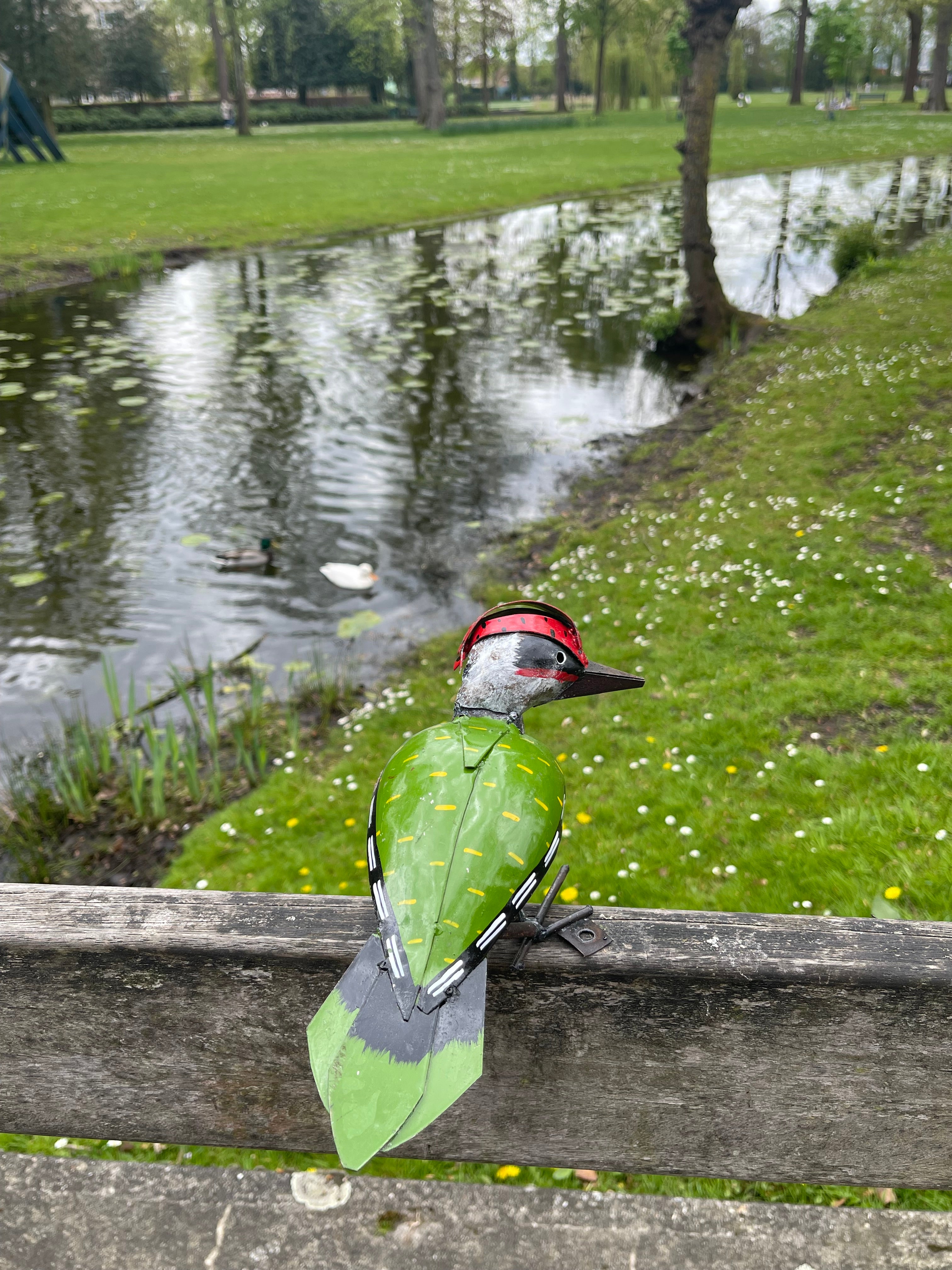 Green Woodpecker