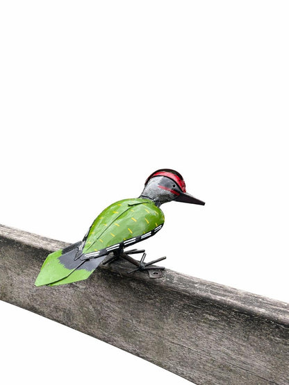 Green Woodpecker