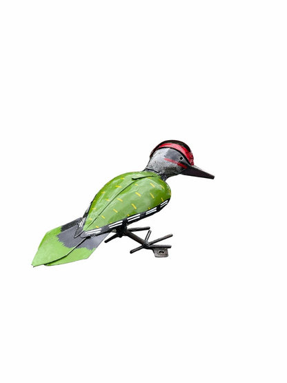 Green Woodpecker