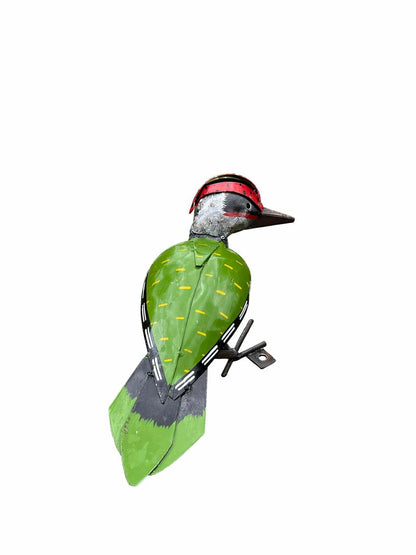 Green Woodpecker