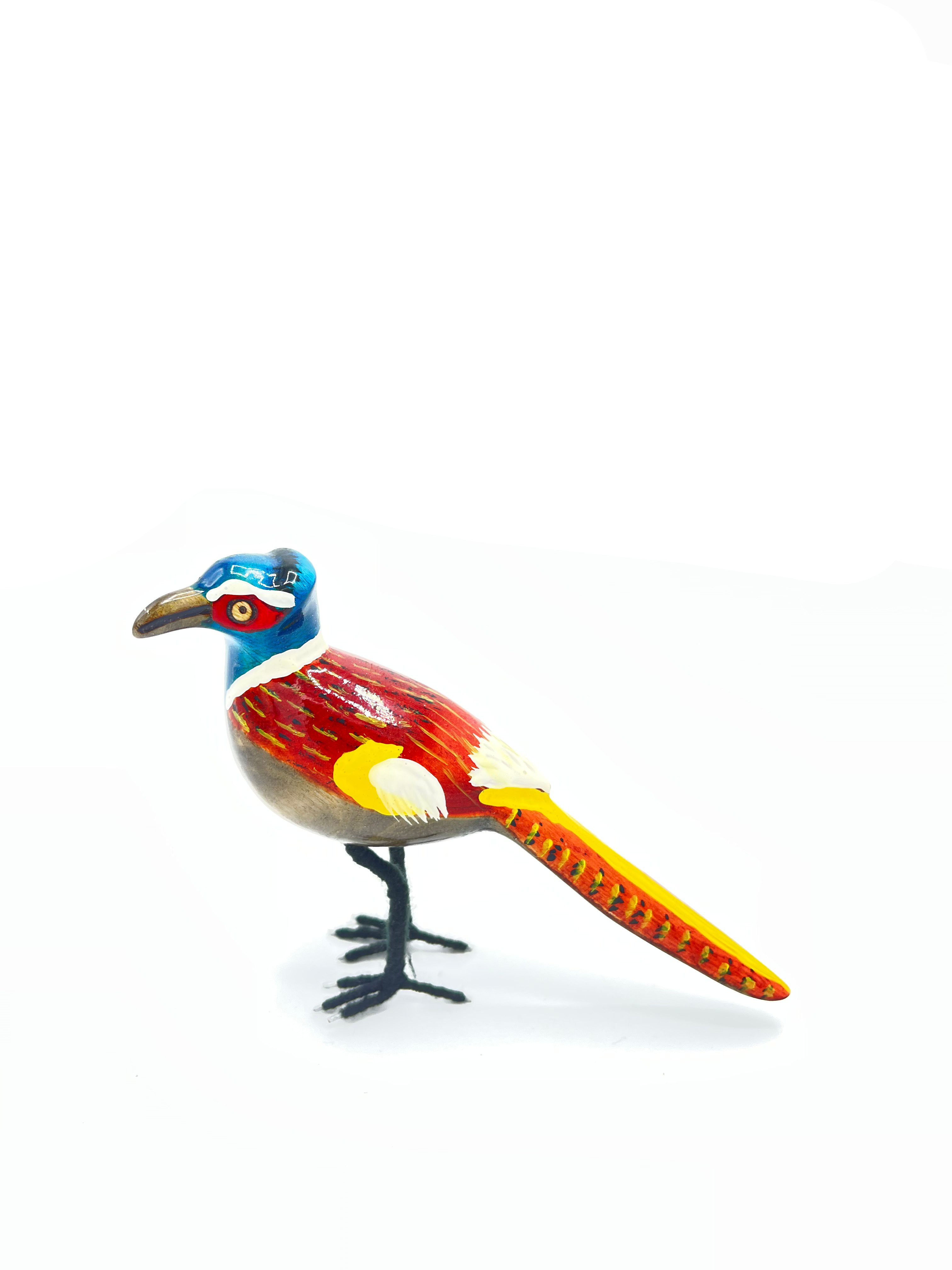 Ring-necked Pheasant