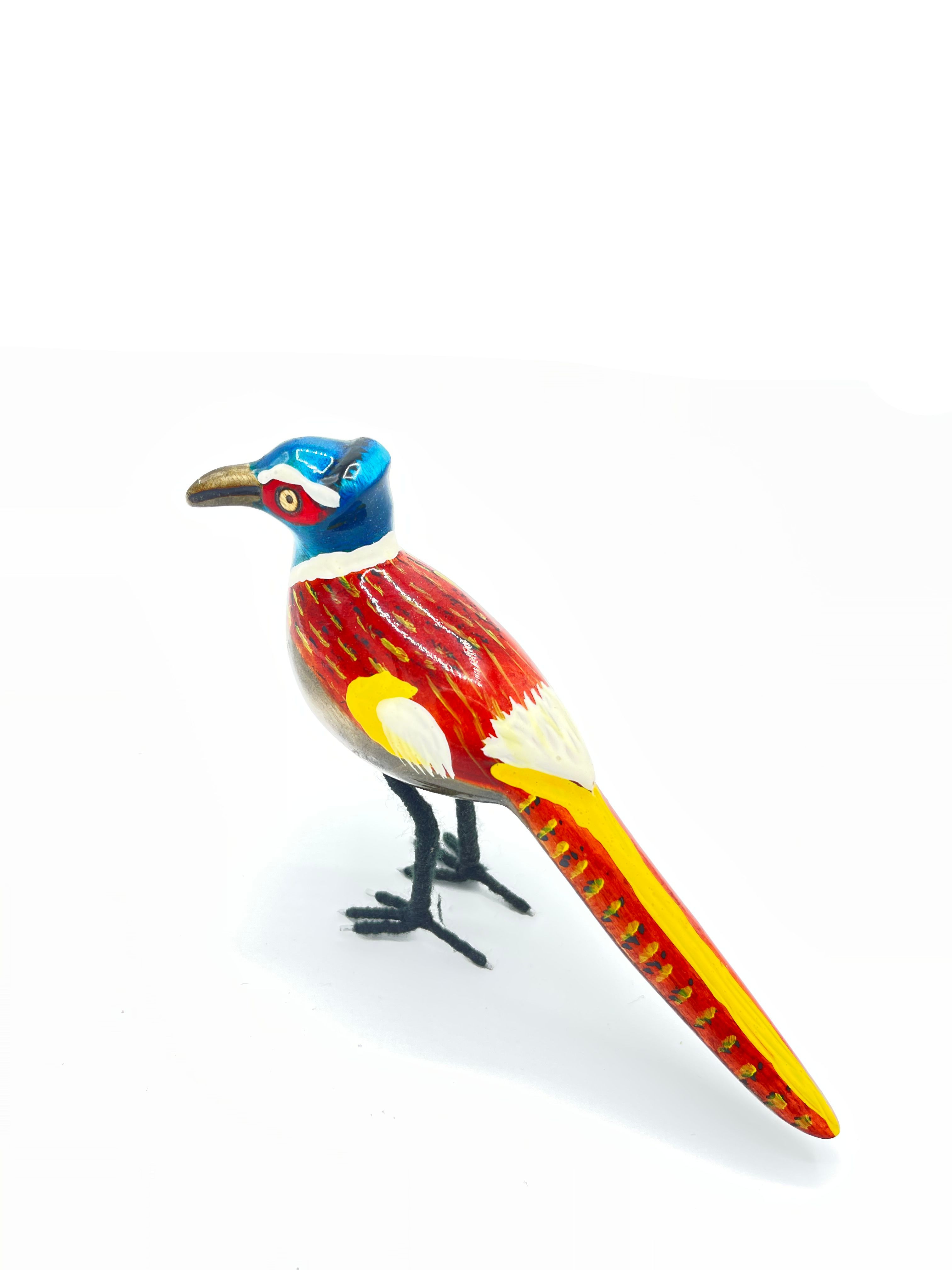 Ring-necked Pheasant