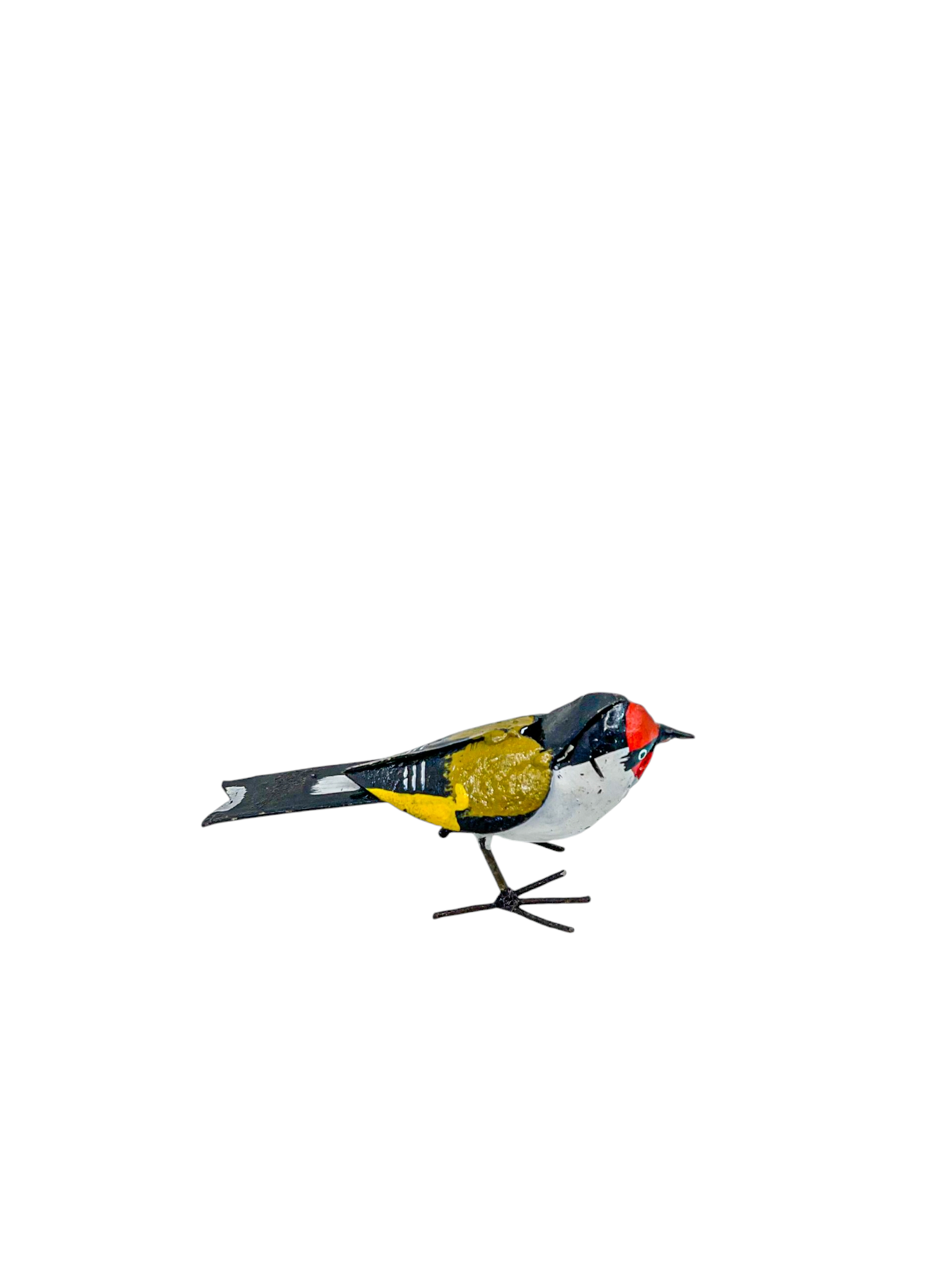 Stieglitz (Stieglitz)